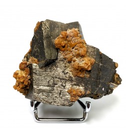 Pyrrhotite, Trepca, Kosovo,...