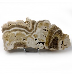 Slice of aragonite, St...