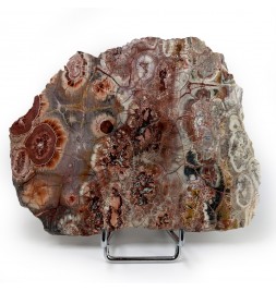 Slice of agate, Mexico, 341...