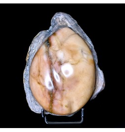 Polished gypsum, Dennevy,...