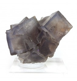 Fluorite、バルシスタン、パキスタン、5.1 cm
