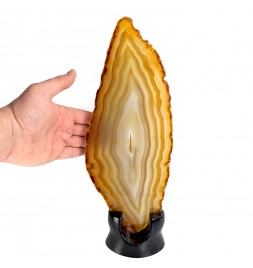 Slice of agate, Brazil, 560...