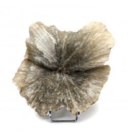 Ulexite, Rio Tinto Borax,...