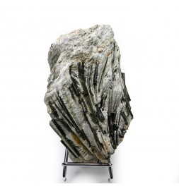 copy of Actinolite,...