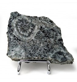 Diorite orbiculaire, Corse,...