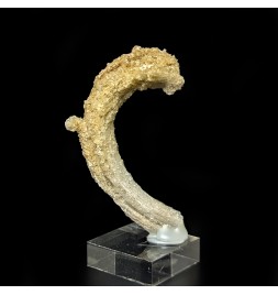 Crosse gypsum, Santa...
