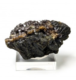 copy of Stellerite,...