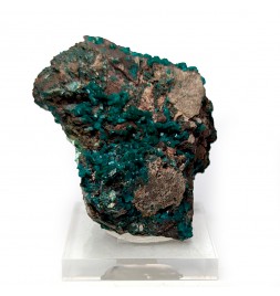 Dioptase, Rep. Of Congo, 72...