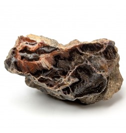 Fossil wood, Morvan,...