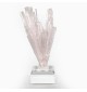 Scolecite, Pune, India, 7.5 cm