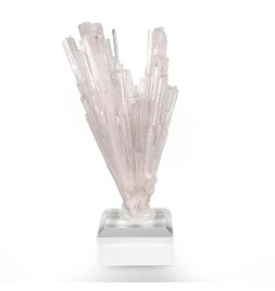 Scolecite, Pune, India, 7.5 cm