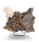 Pyrrhotite, quartz, Trepča,...