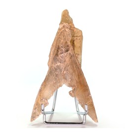 Gypsum, Seine et Marne,...