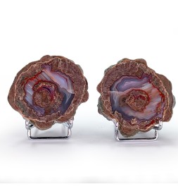 Lithophyses (pair), Esterel...