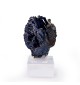 Azurite, Touissit, Morocco,...