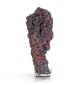 Goethite, Tharsis, Espagne,...