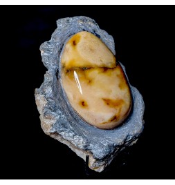 Polished gypsum, Mâlain,...