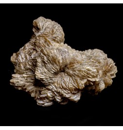 Gypsum, Gargas, France, 242 g